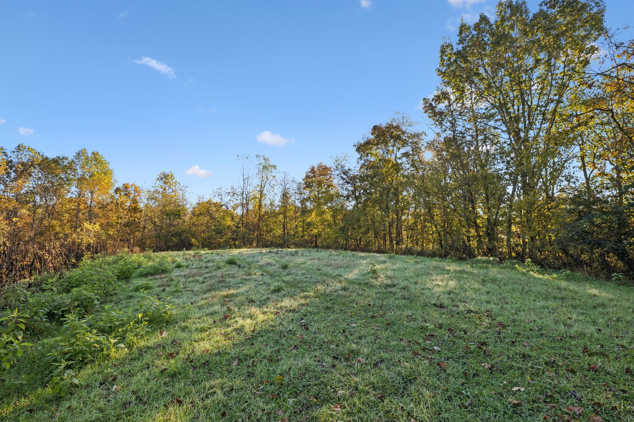0 West Sheepneck Road Mount Pleasant, TN 38474 - Photo 6 of 43 a view of an outdoor space with a lake view