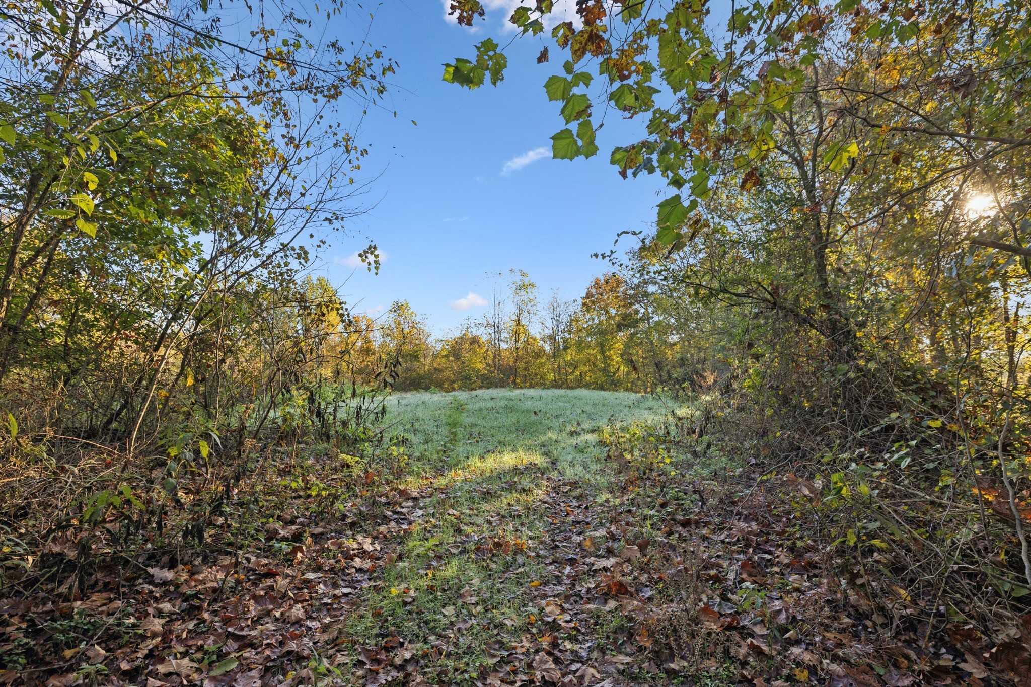 0 West Sheepneck Road Mount Pleasant, TN 38474 - Photo 8 of 43 a view of a lake with large trees