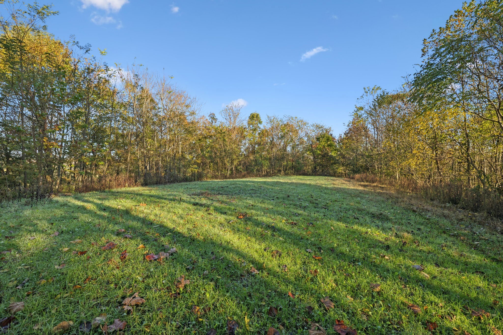 0 West Sheepneck Road Mount Pleasant, TN 38474 - Photo 10 of 43 a view of outdoor space with green field and trees all around