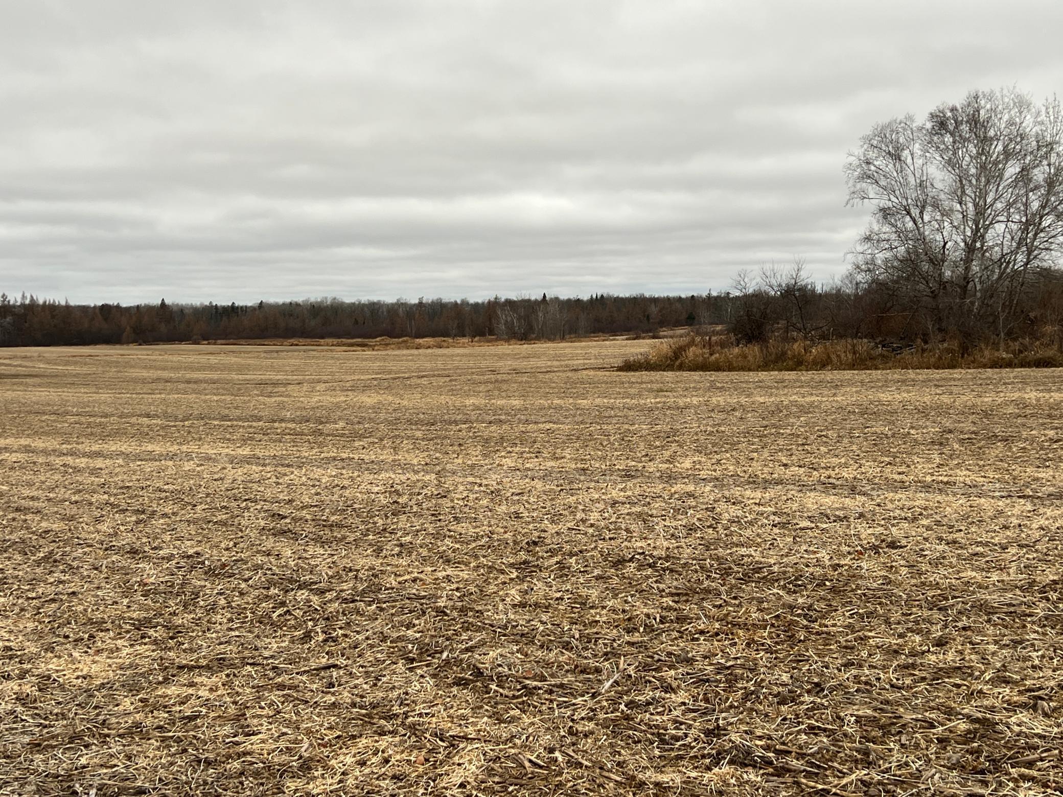 0 Wildwood Road Brook Park, MN 55007 - Photo 12 of 15