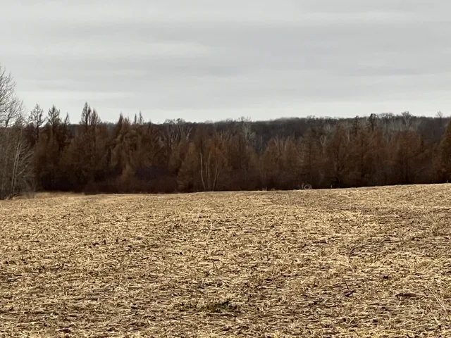 $249,000 | 0 Wildwood Road, Brook Park, MN 55007