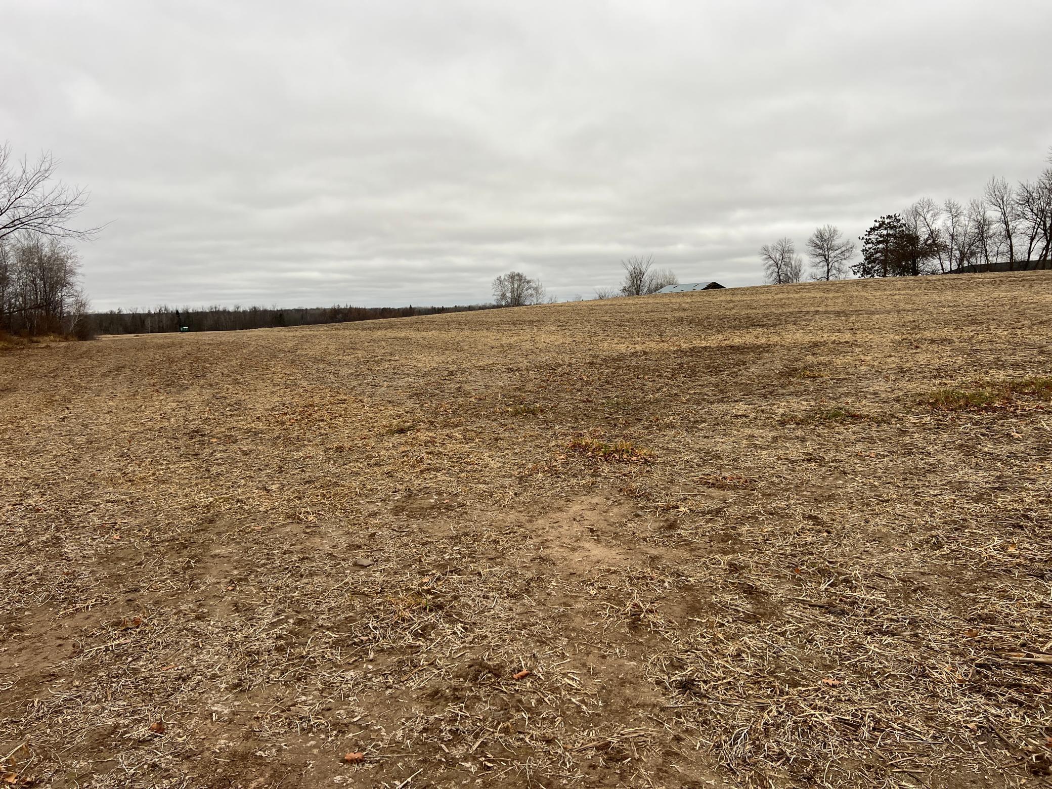 0 Wildwood Road Brook Park, MN 55007 - Photo 5 of 15