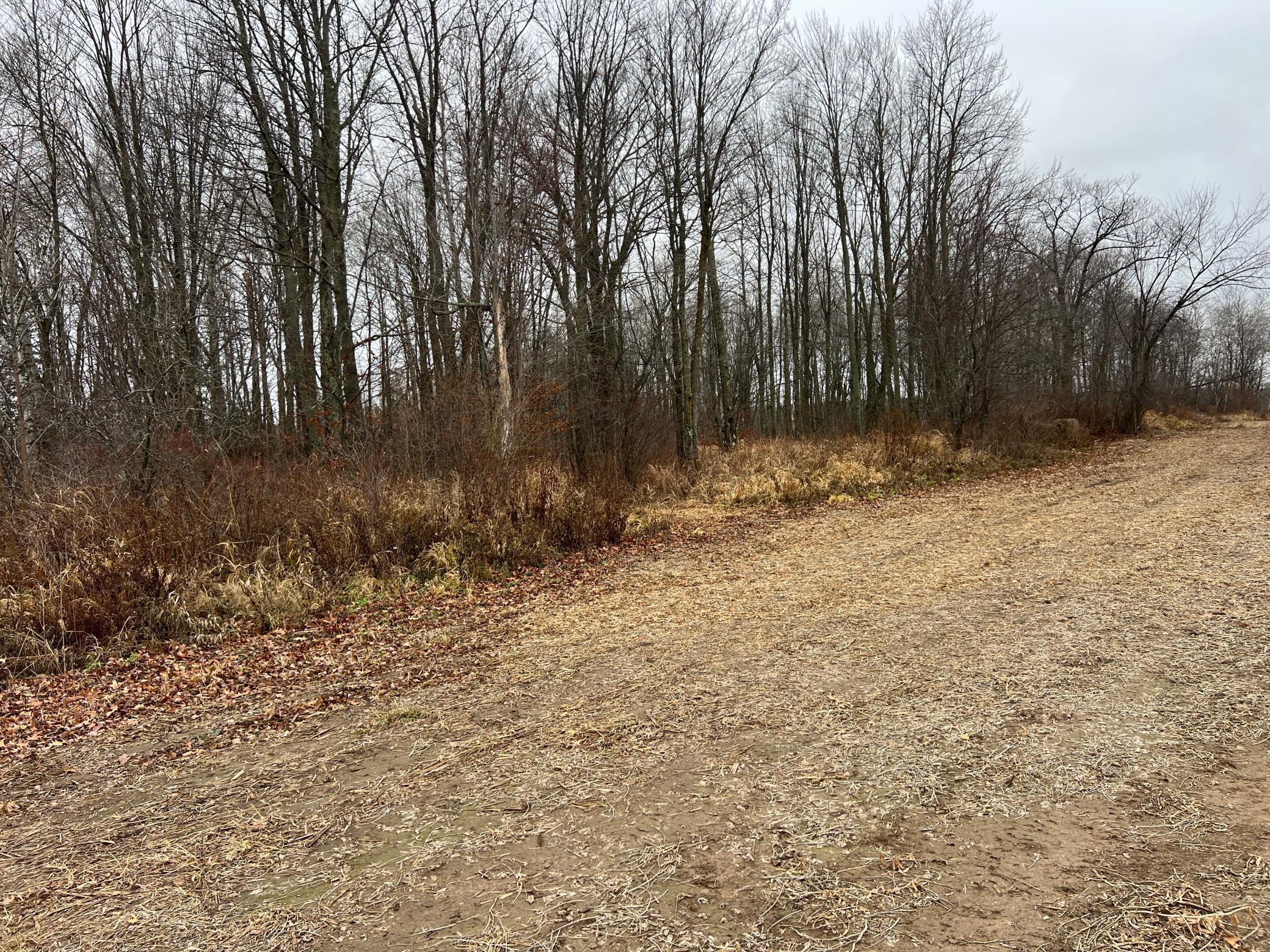 0 Wildwood Road Brook Park, MN 55007 - Photo 6 of 15