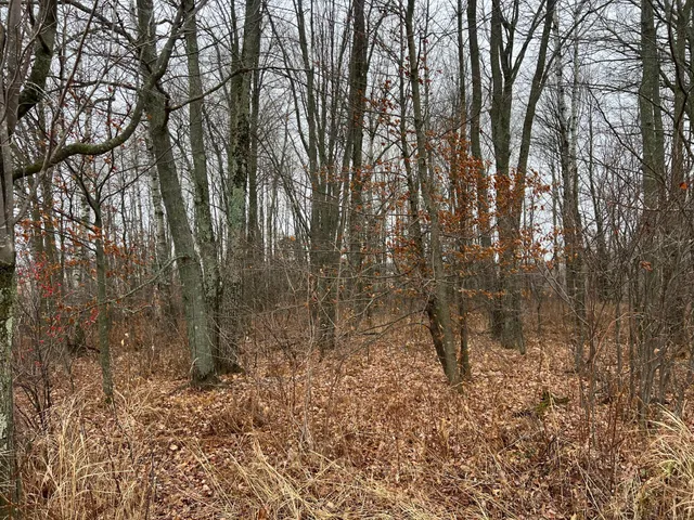 $249,000 | 0 Wildwood Road, Brook Park, MN 55007