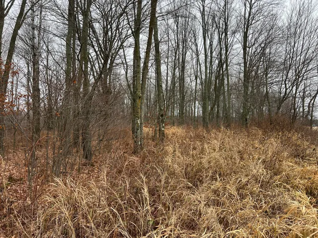 $249,000 | 0 Wildwood Road, Brook Park, MN 55007