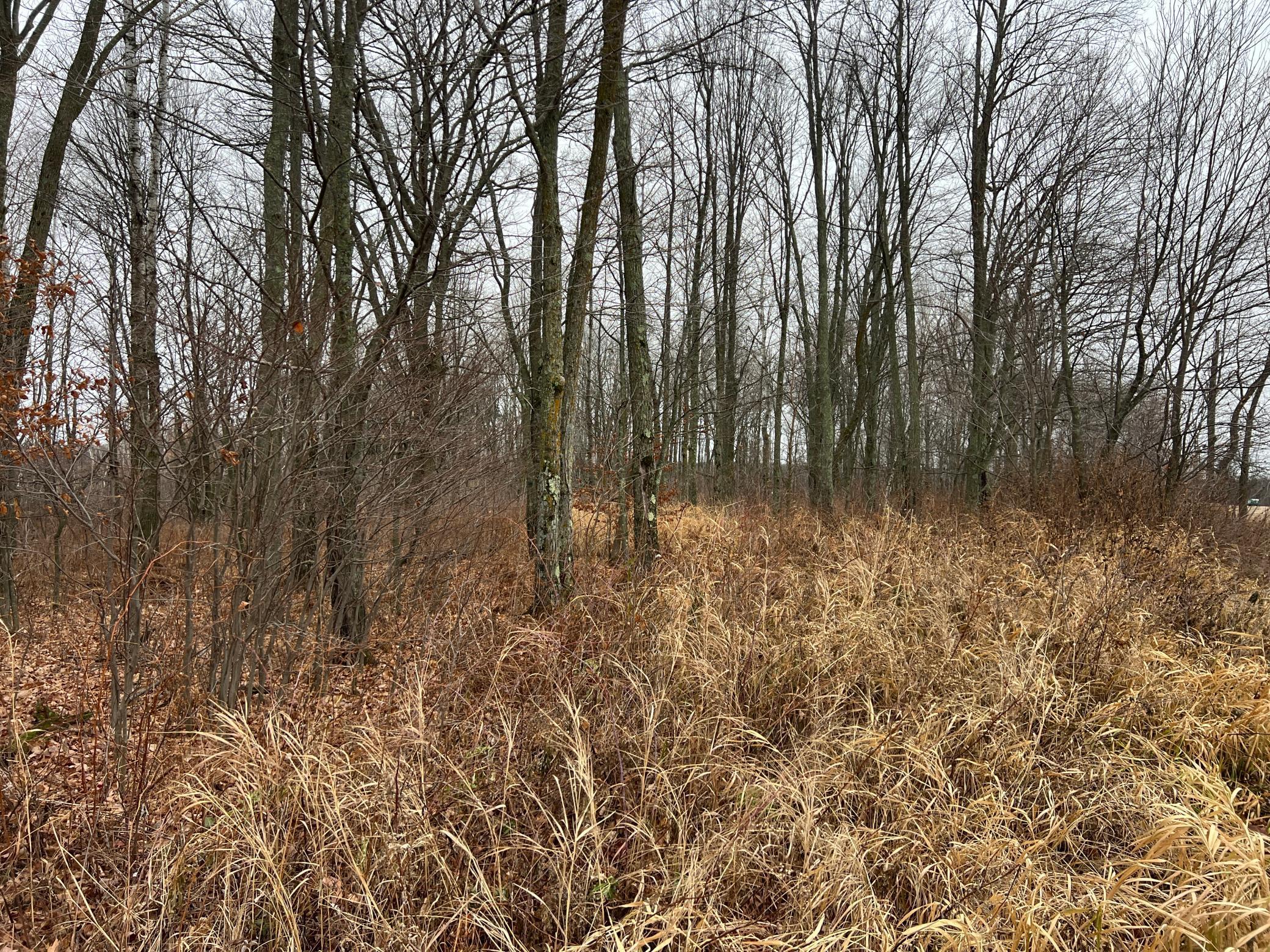 0 Wildwood Road Brook Park, MN 55007 - Photo 8 of 15