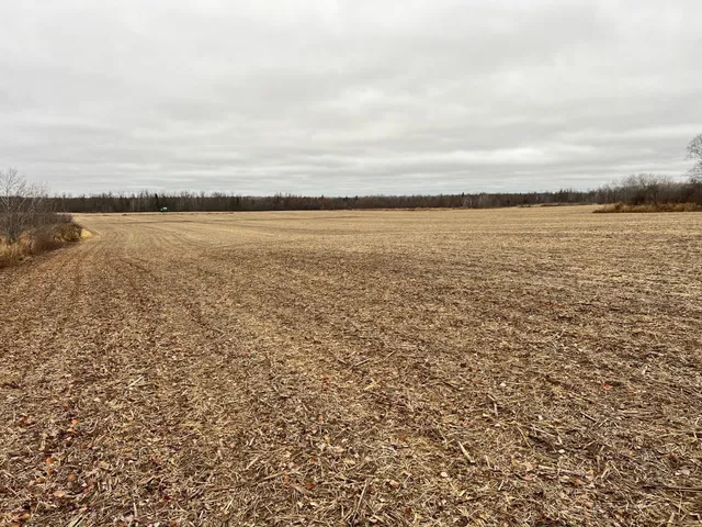 $249,000 | 0 Wildwood Road, Brook Park, MN 55007