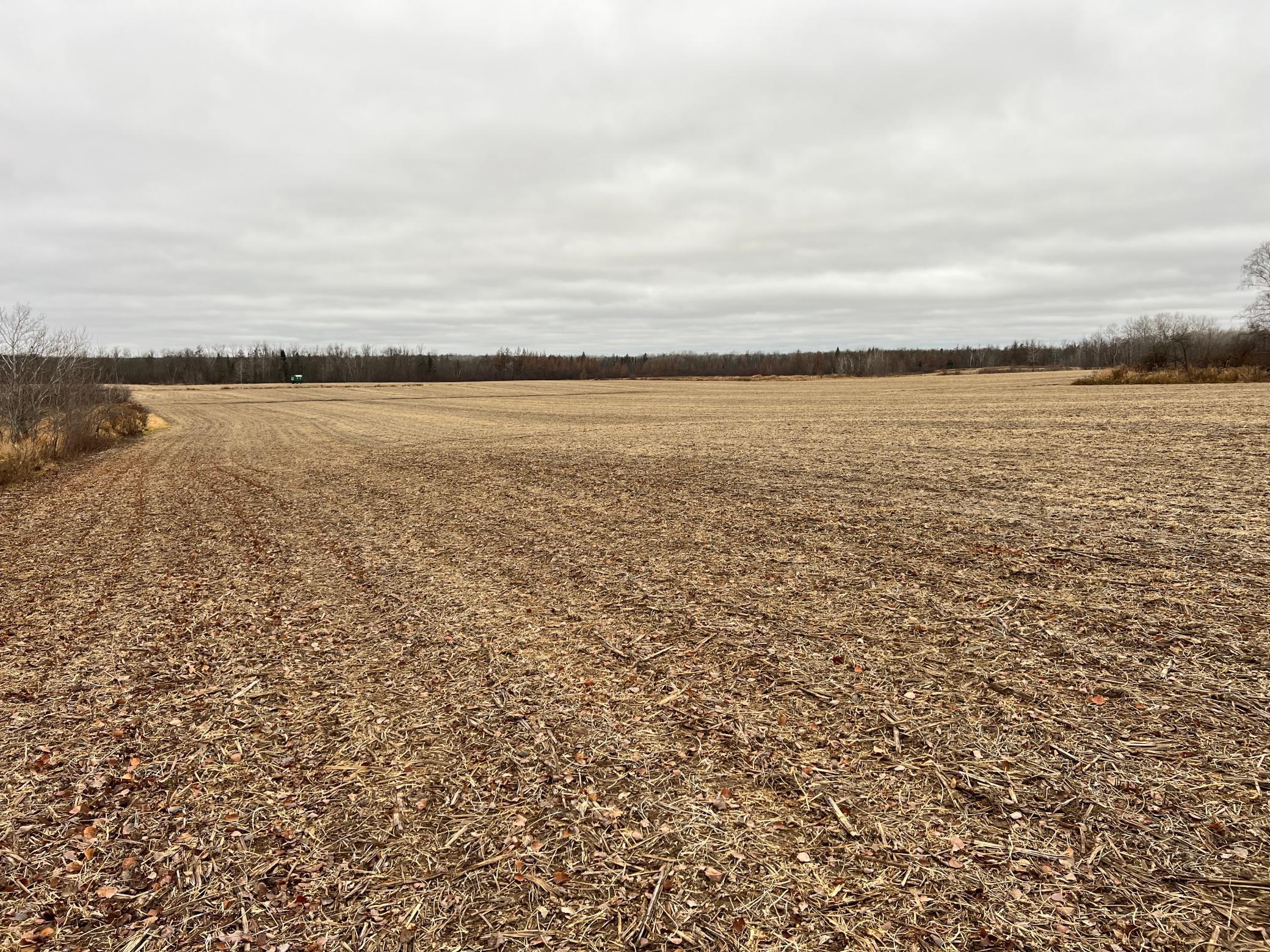 0 Wildwood Road Brook Park, MN 55007 - Photo 9 of 15