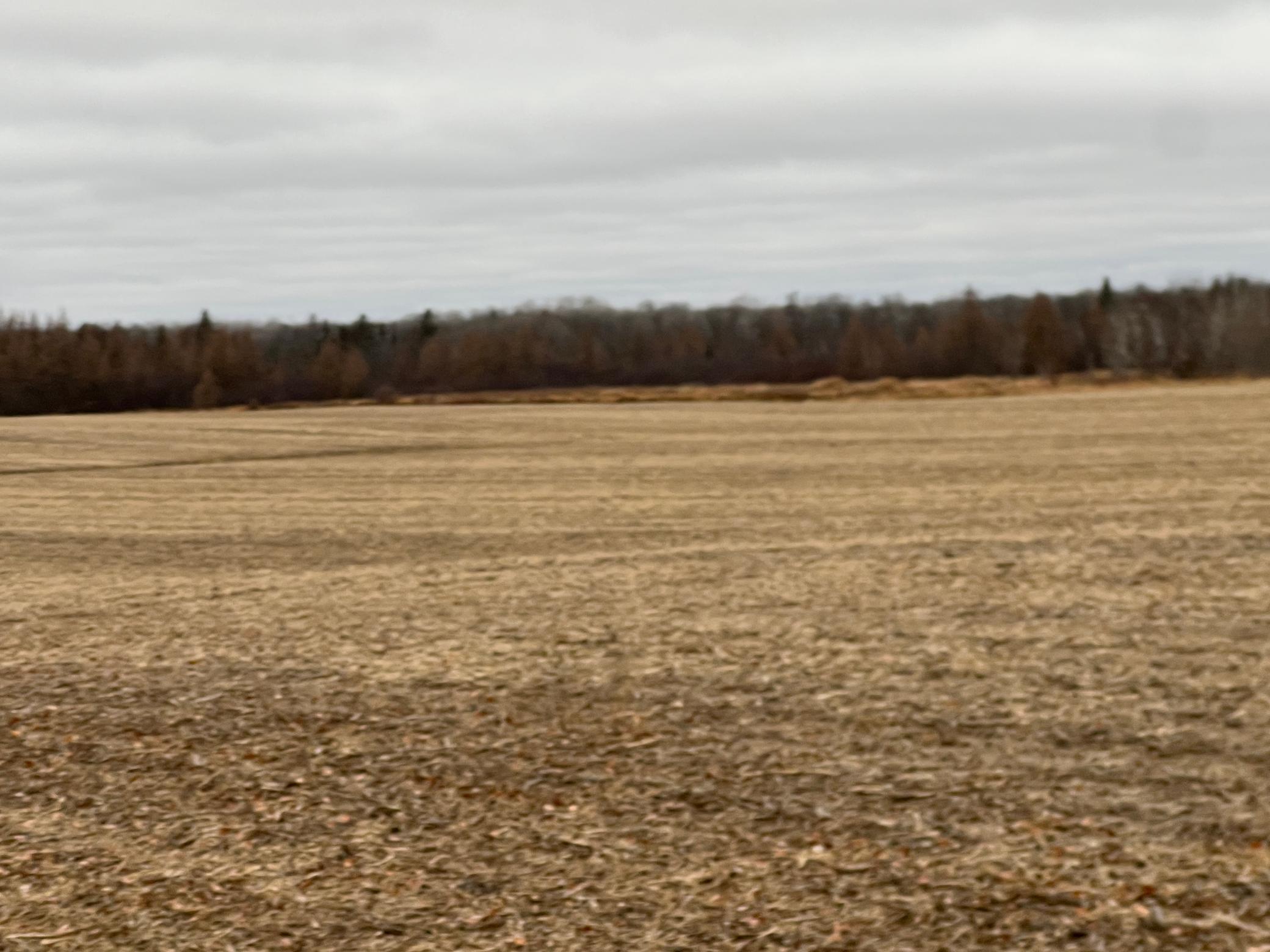 0 Wildwood Road Brook Park, MN 55007 - Photo 10 of 15