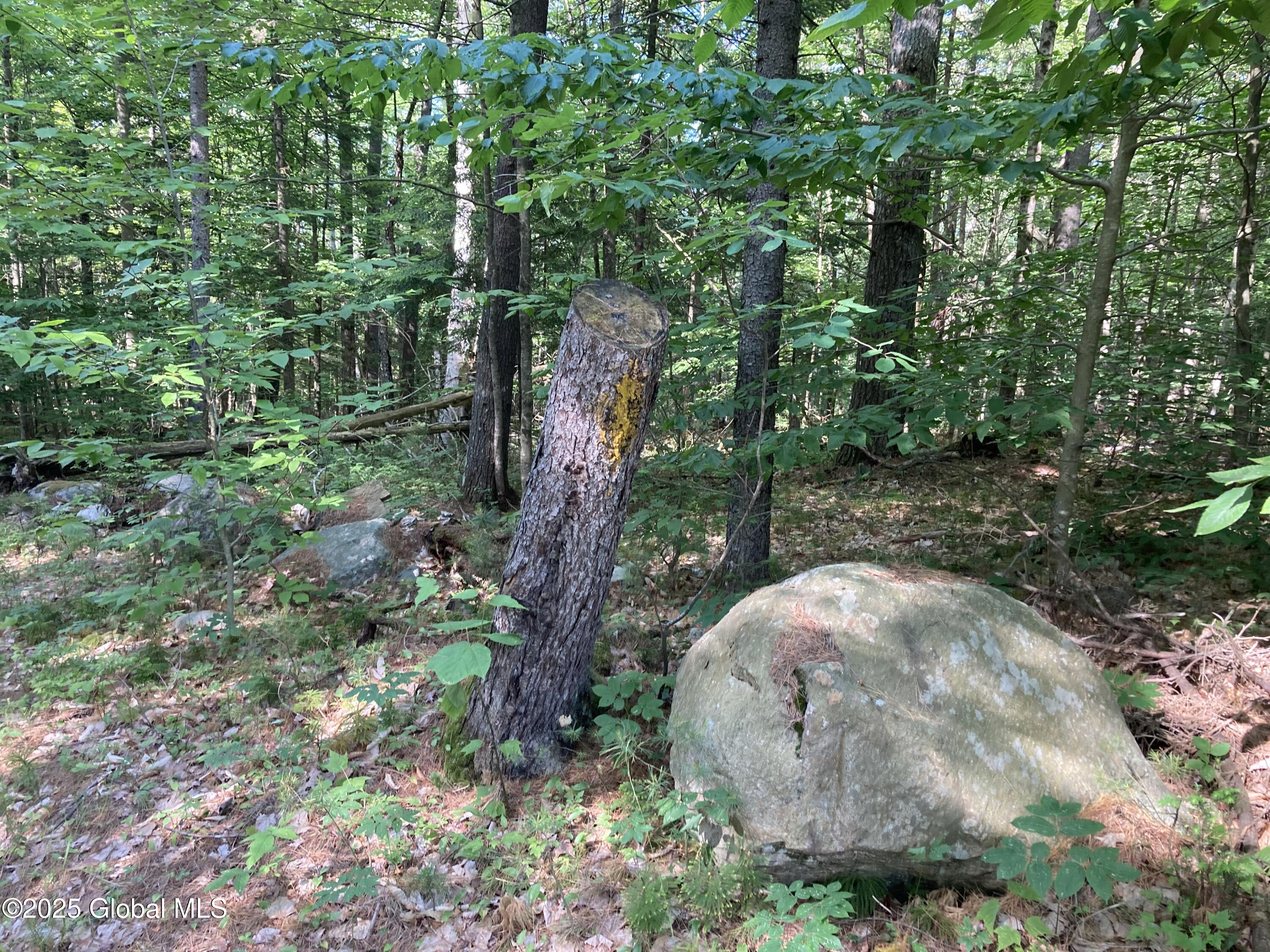 51 Sams Road Schroon, NY 12870 - Photo 15 of 19 IMG_8819