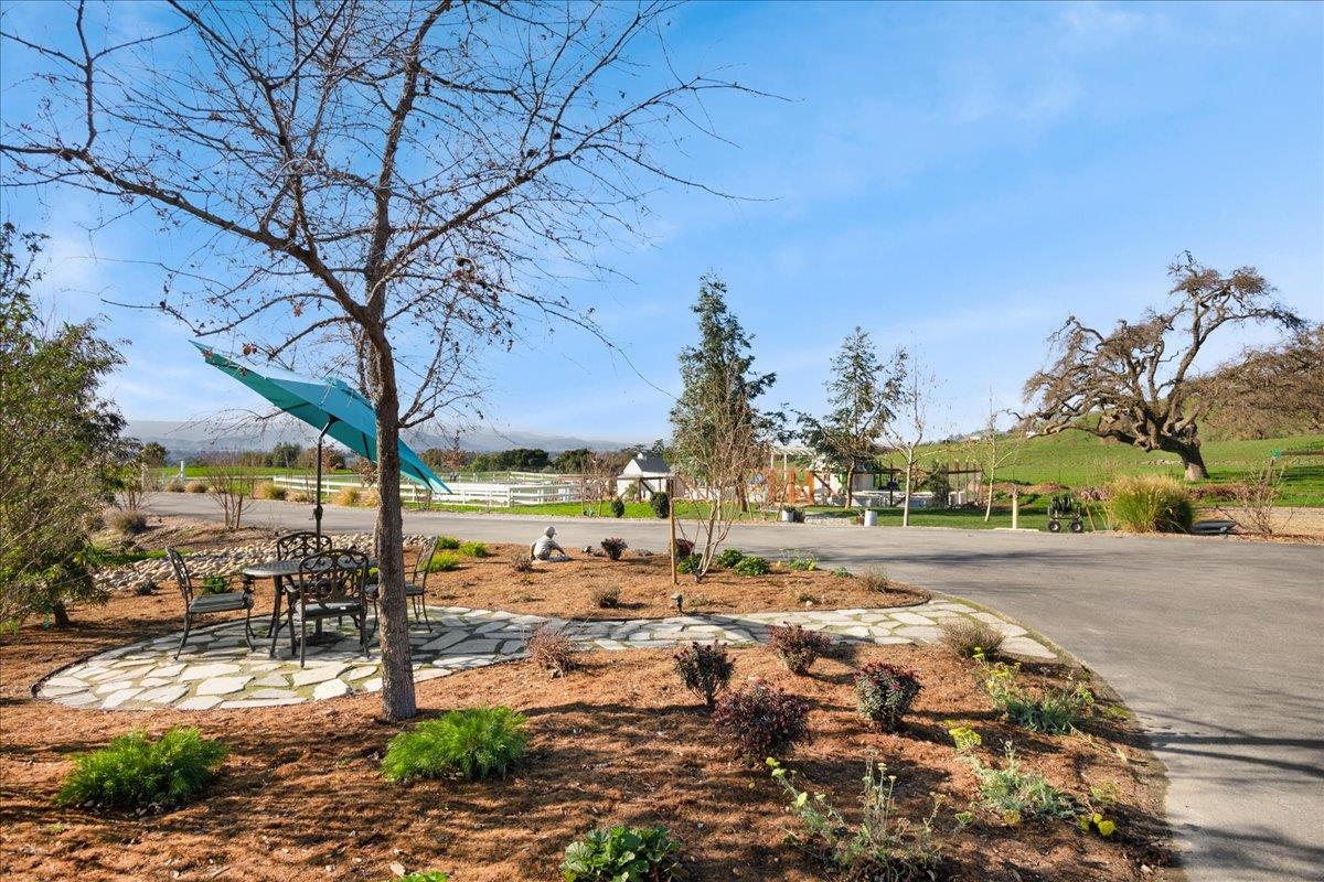 7670 Crews Road Gilroy, CA 95020 - Photo 27 of 83 a view of dirt yard with a large tree