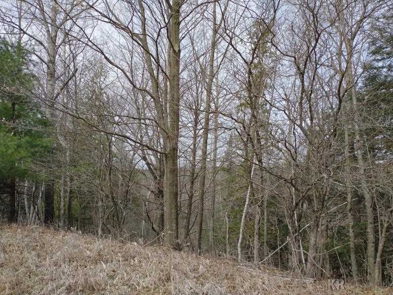 50-acres Sugar River Road Gladwin, MI 48624 - Photo 25 of 29
