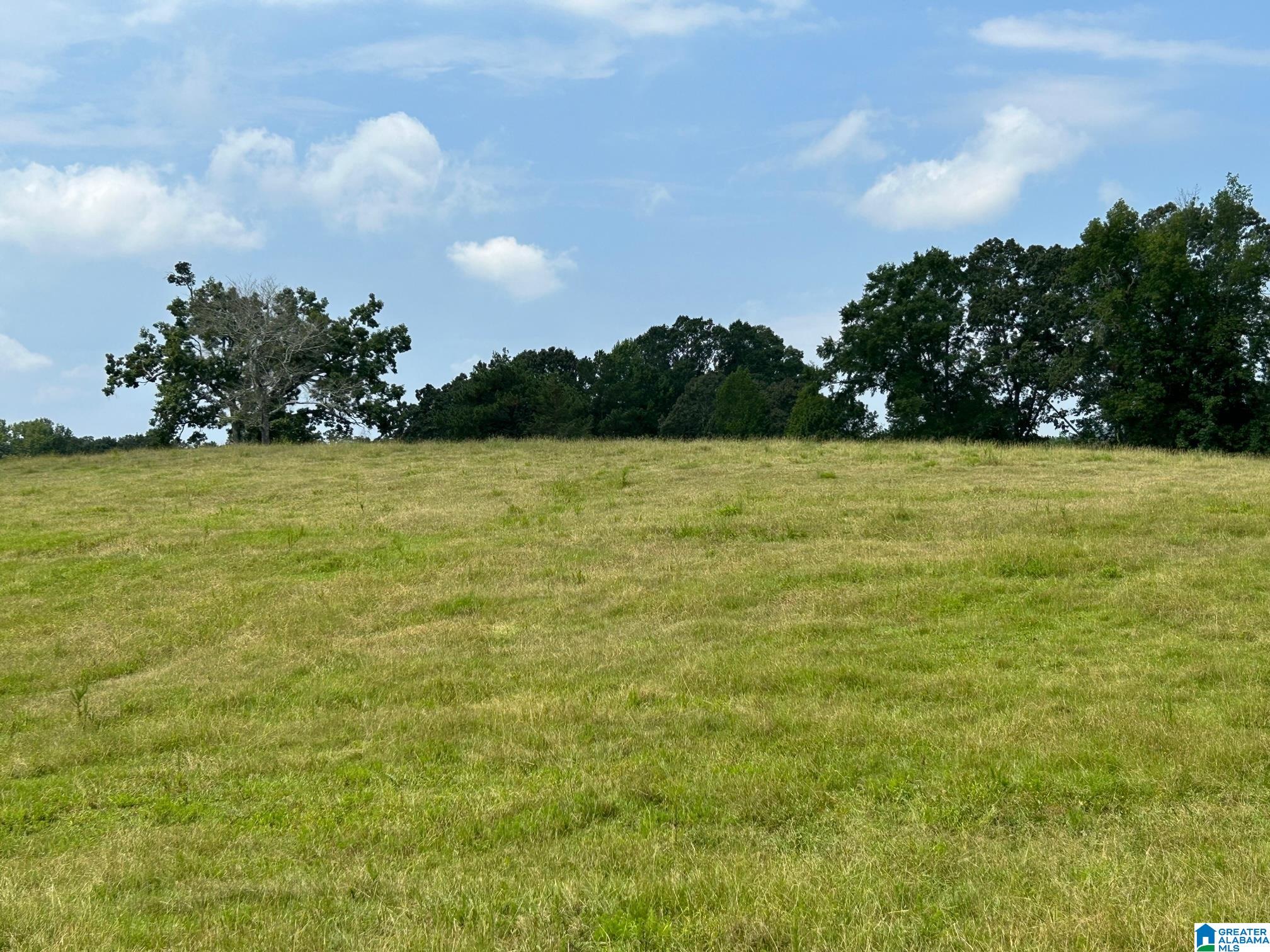 3300 Floyd Road Wellington, AL 36279 - Photo 1 of 11