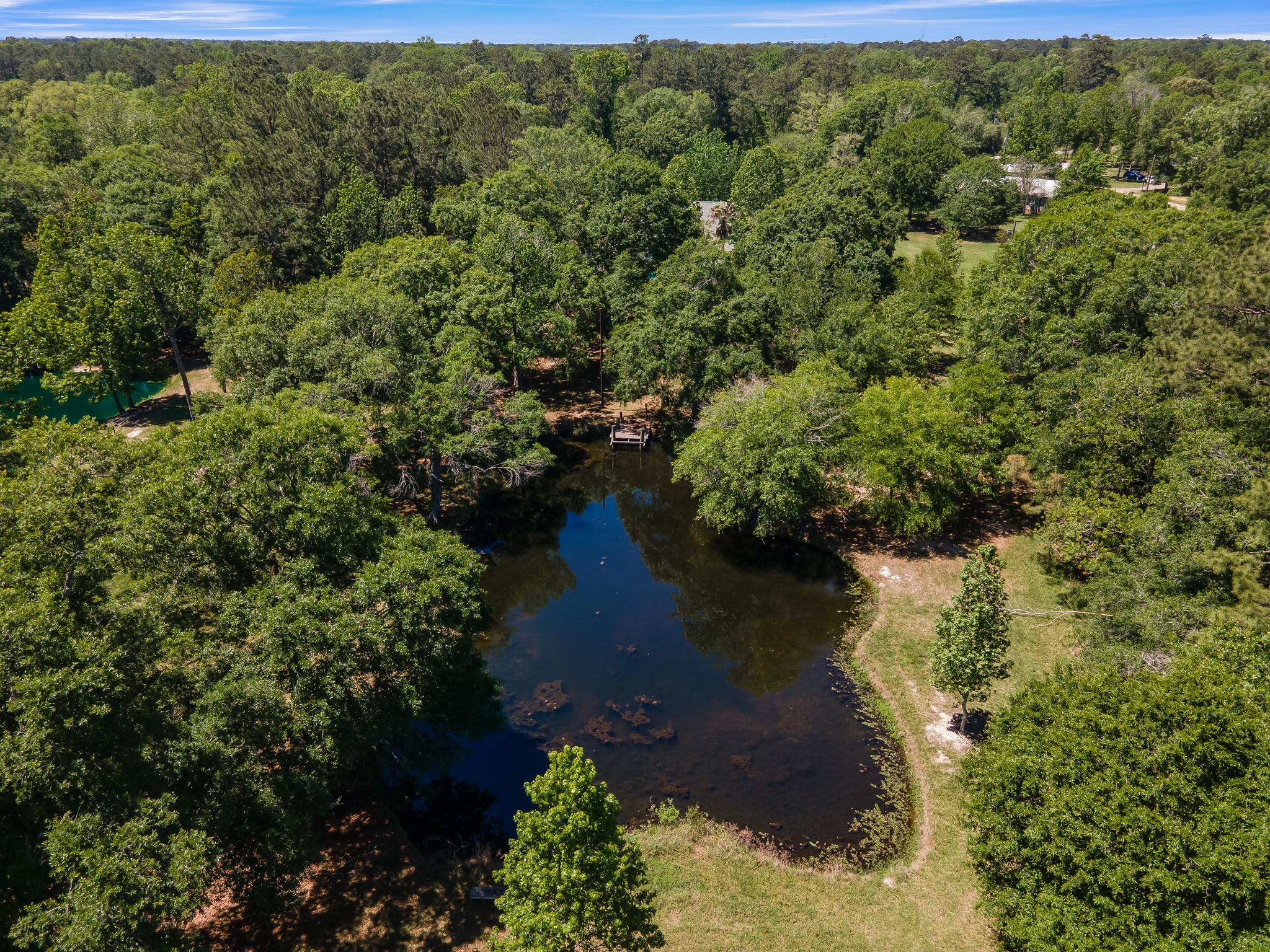 13685 Tommy Smith Road Conroe, TX 77306 - Photo 50 of 50 Pond