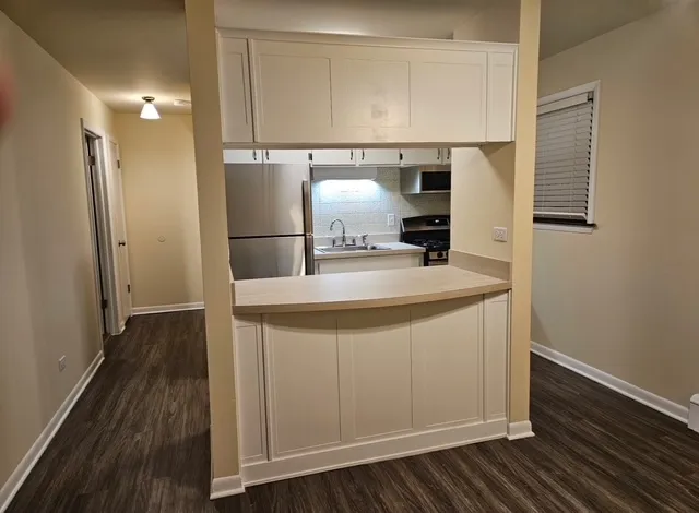 $1,300 | 5617 6th Avenue, Unit 3C, La Grange, IL 60525