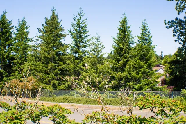 $350,000 | 2611 Northeast 4th Street, Unit 234, Renton, WA 98056