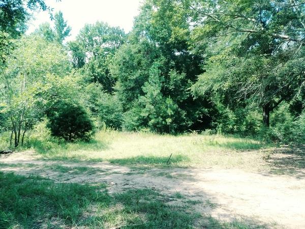 54 Schaffer Road Newton, AL 36352 - Photo 1 of 1