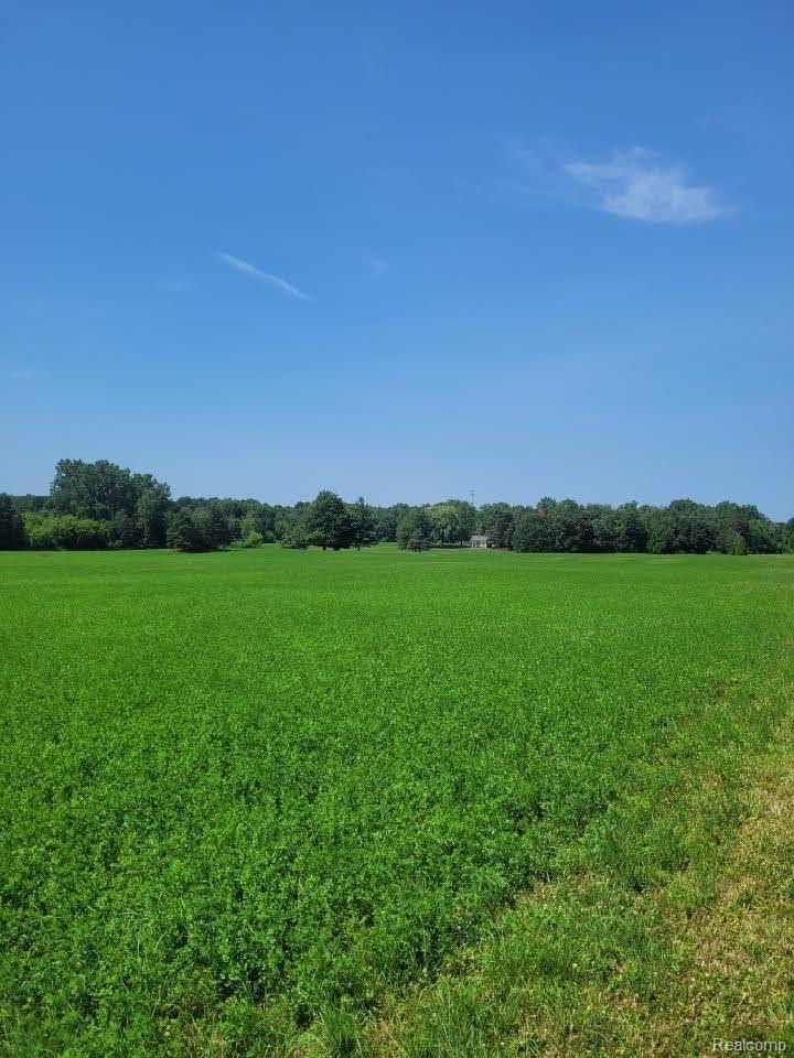 5253 North Henderson Road Davison, MI 48423 - Photo 51 of 51 Gallery Image 51