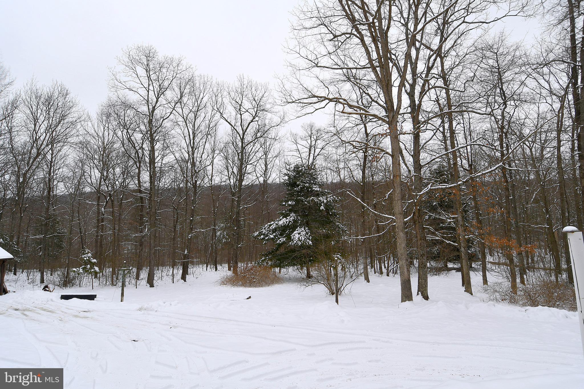 4645 Cold Run Valley Road Berkeley Springs, WV 25411 - Photo 24 of 30 Gallery Image 24