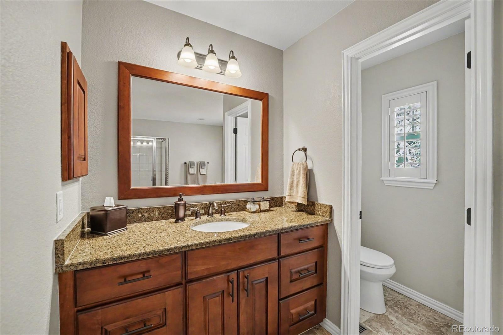 3307 Sturbridge Drive Highlands Ranch, CO 80129 - Photo 23 of 49
