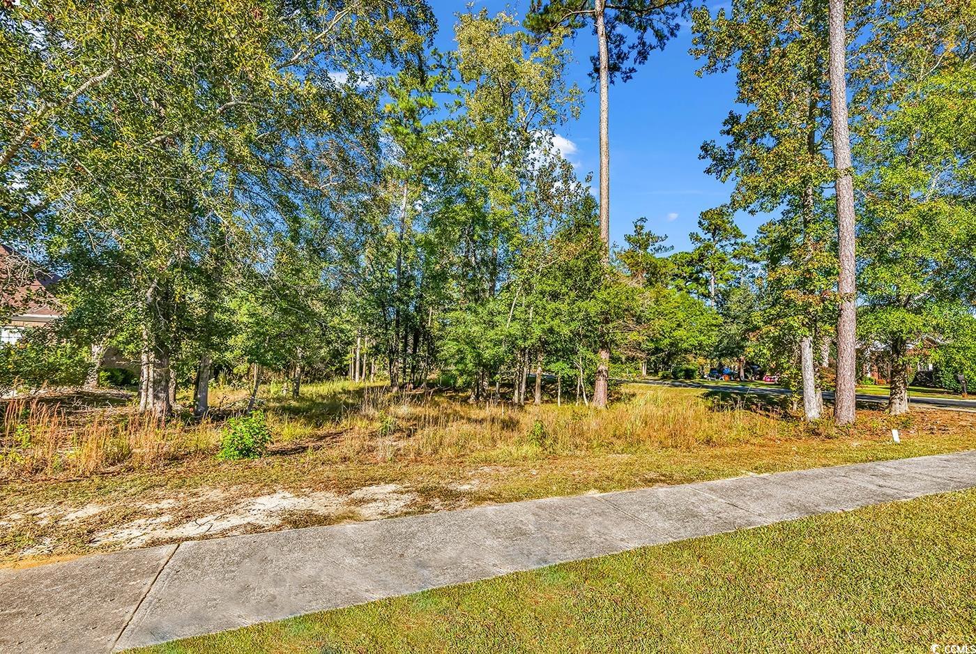 View of yard featuring view of wooded area