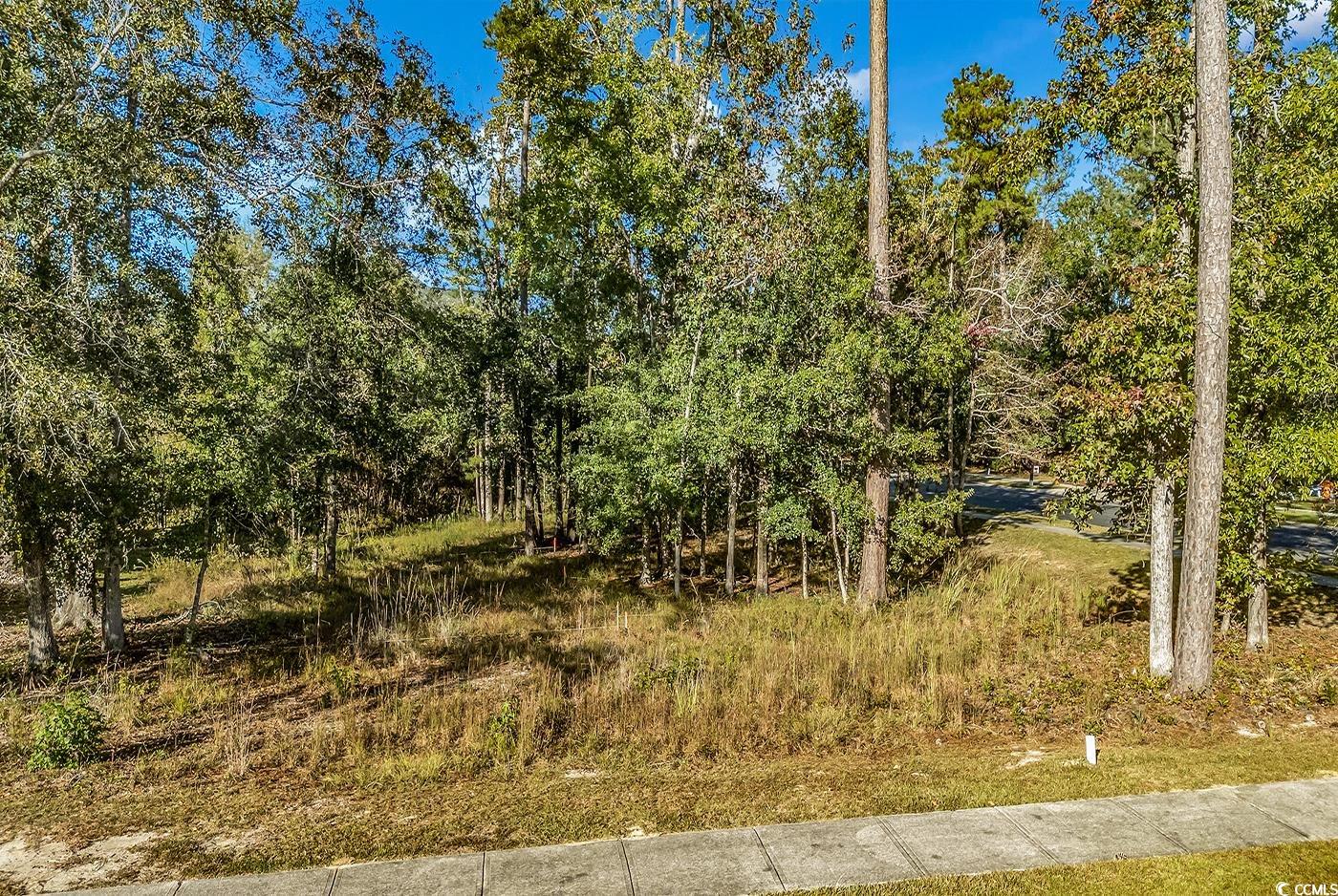800 Jeter Lane Myrtle Beach, SC 29588 - Photo 8 of 40 Gallery Image 8