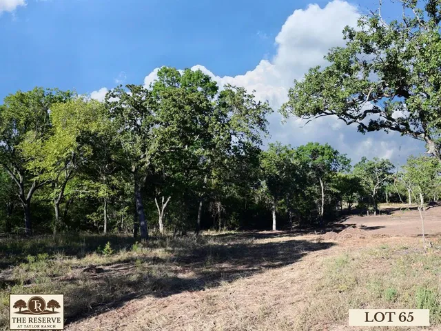 a view of a yard with plants and trees