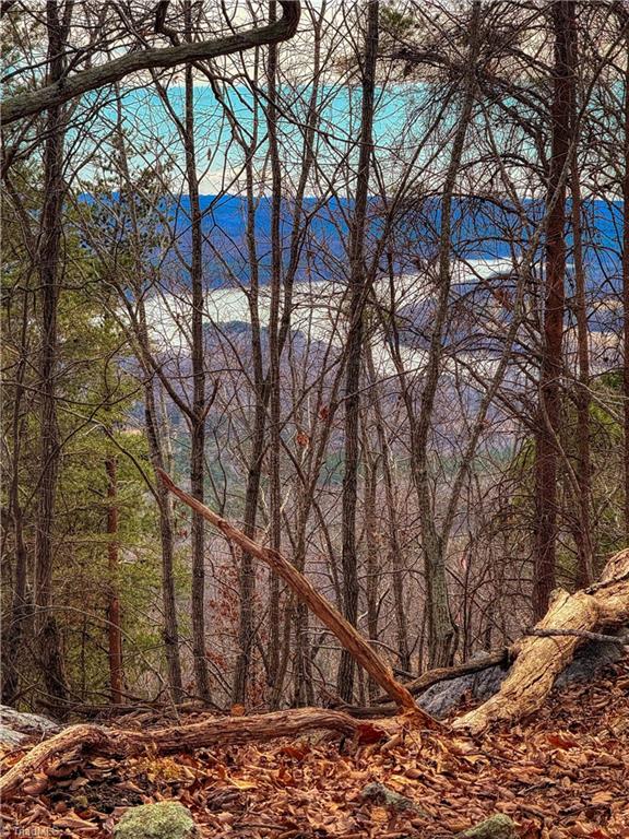 1026 Sierra Trace Road Denton, NC 27239 - Photo 13 of 39