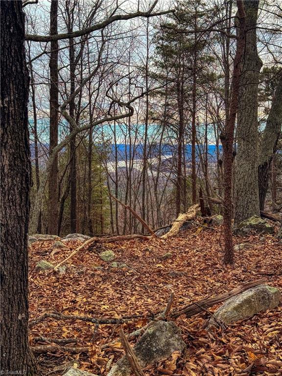 1026 Sierra Trace Road Denton, NC 27239 - Photo 14 of 39