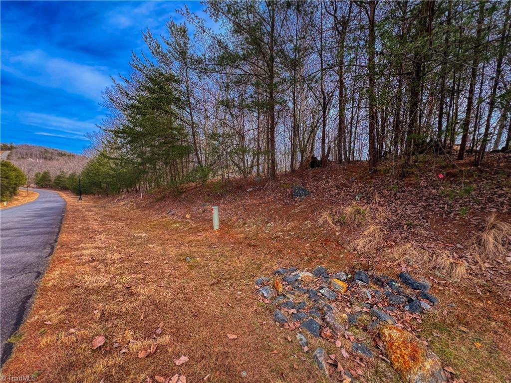 1026 Sierra Trace Road Denton, NC 27239 - Photo 15 of 39