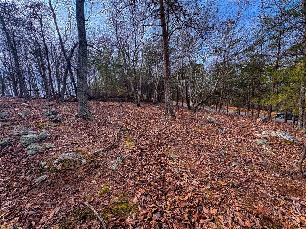 1026 Sierra Trace Road Denton, NC 27239 - Photo 4 of 39