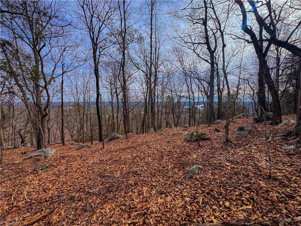 1026 Sierra Trace Road Denton, NC 27239 - Photo 7 of 39