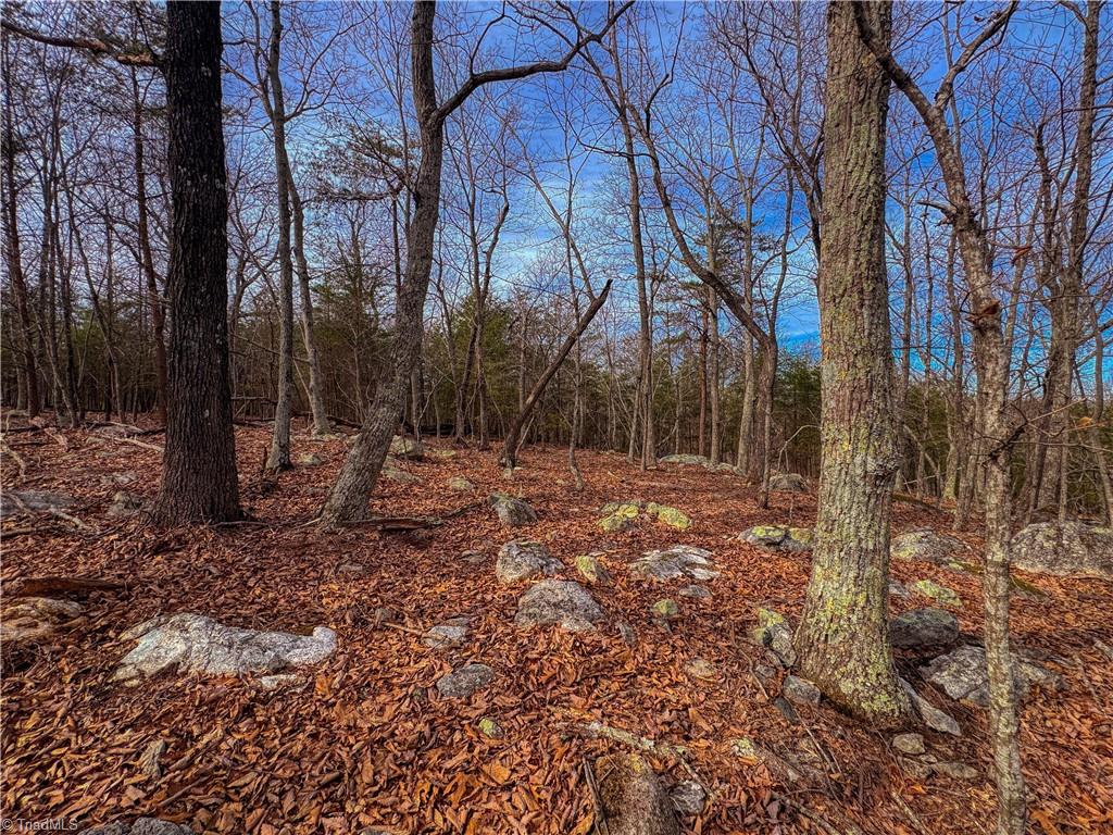 1026 Sierra Trace Road Denton, NC 27239 - Photo 9 of 39