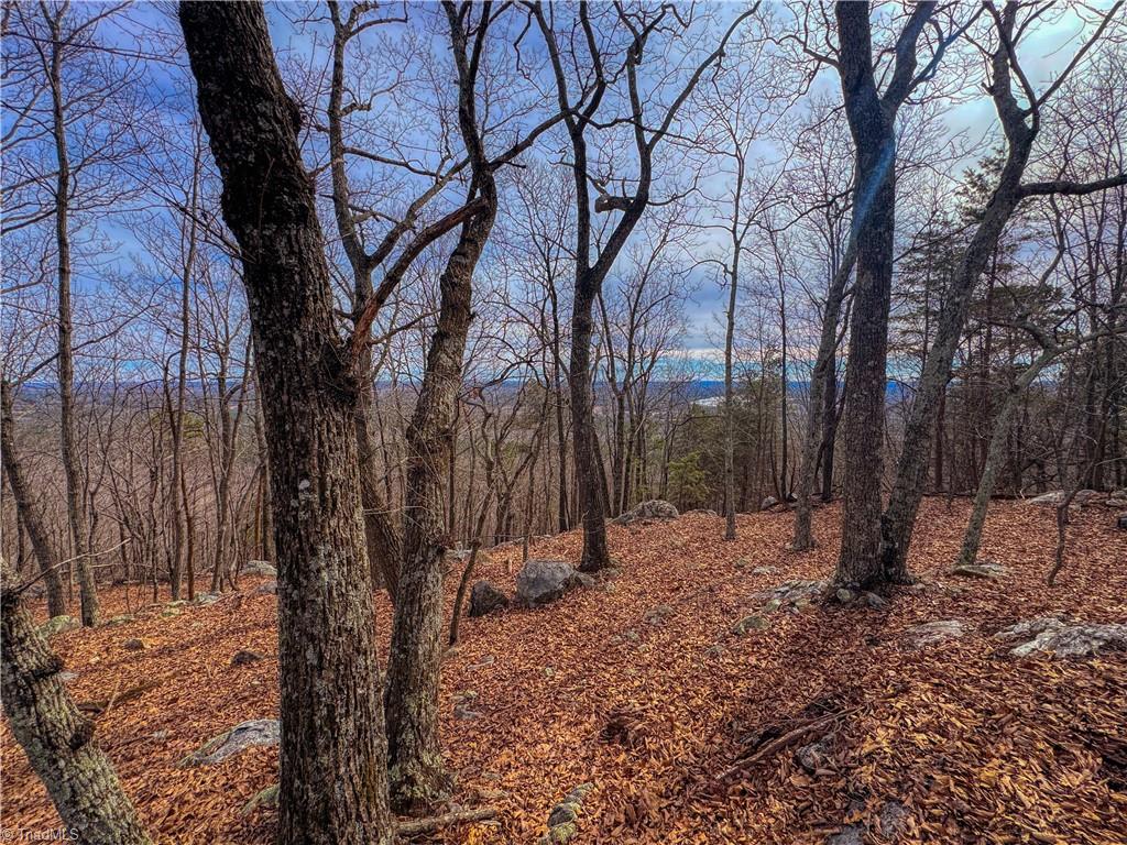 1026 Sierra Trace Road Denton, NC 27239 - Photo 10 of 39