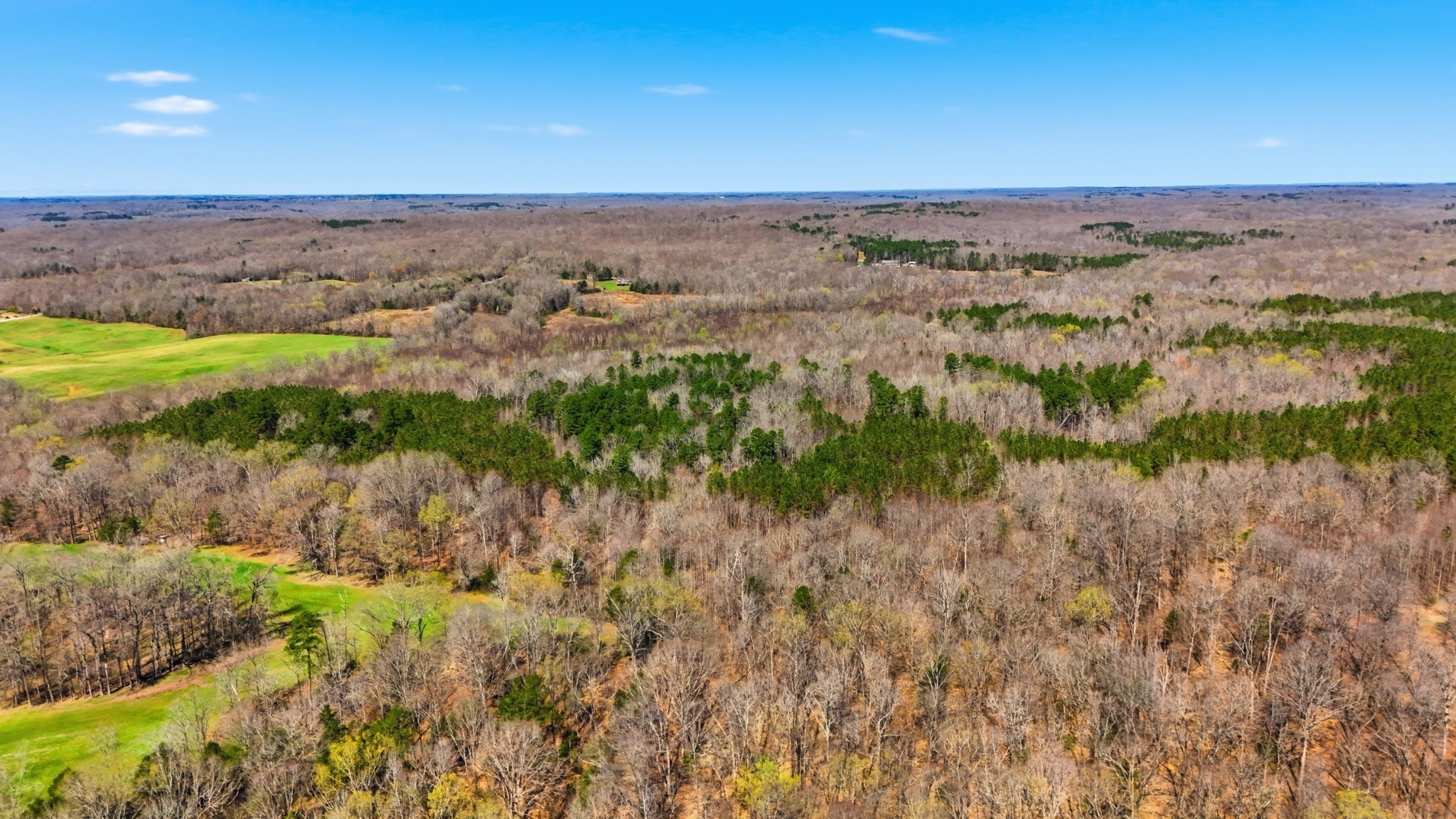 0 Fowler Road Beech Bluff, TN 38313 - Photo 7 of 21 Gallery Image 7