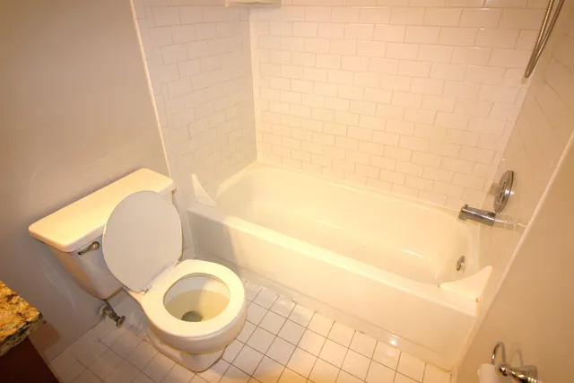 a bathroom with a toilet and a tub