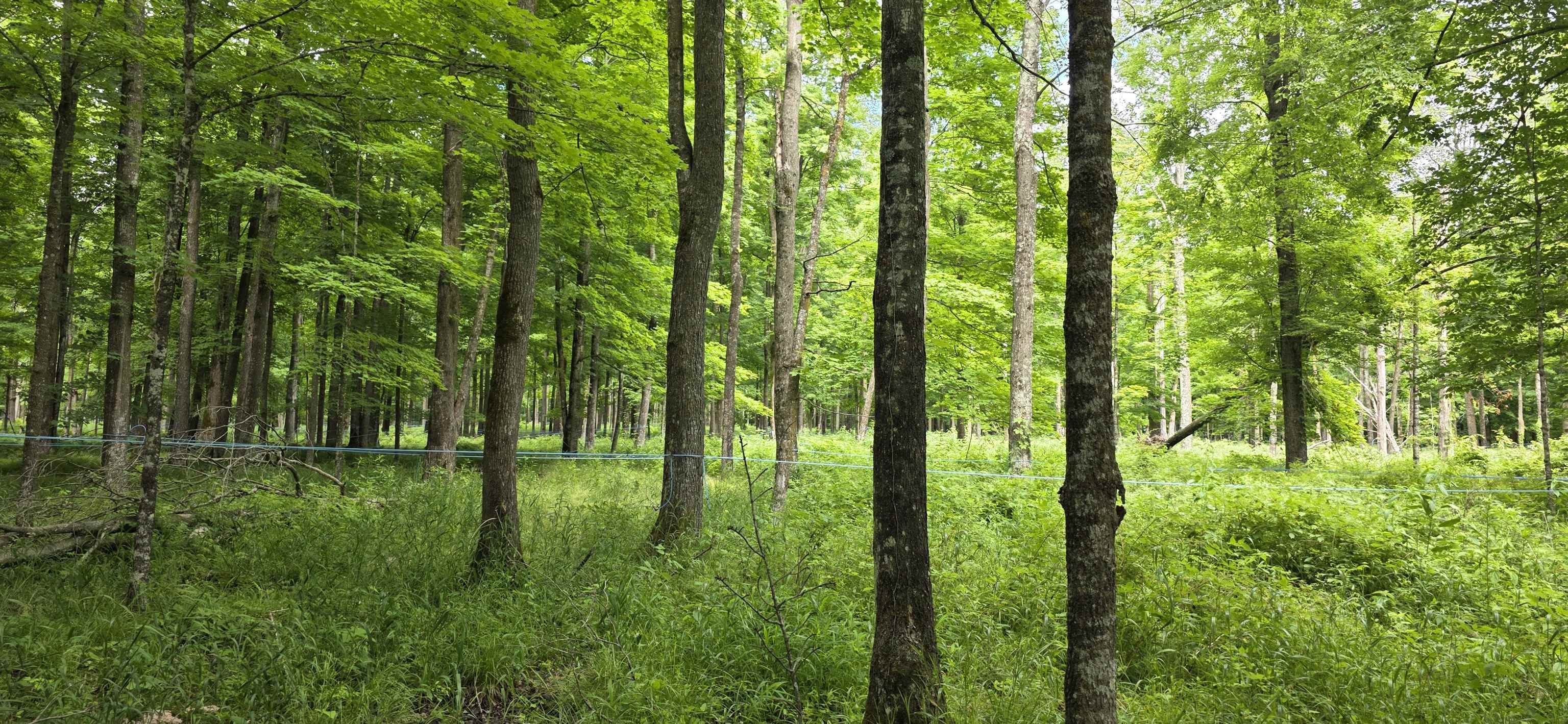 Springbrook Road Tigerton, WI 54486 - Photo 50 of 56