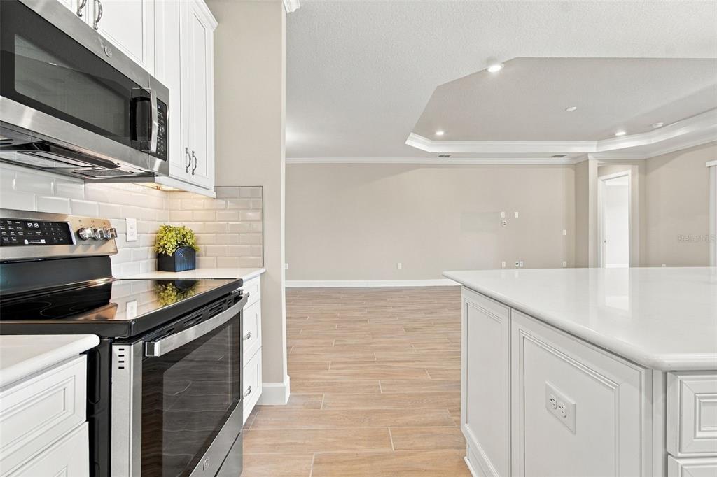 4798 Rosatti Road Wesley Chapel, FL 33543 - Photo 35 of 99 Gallery Image 35