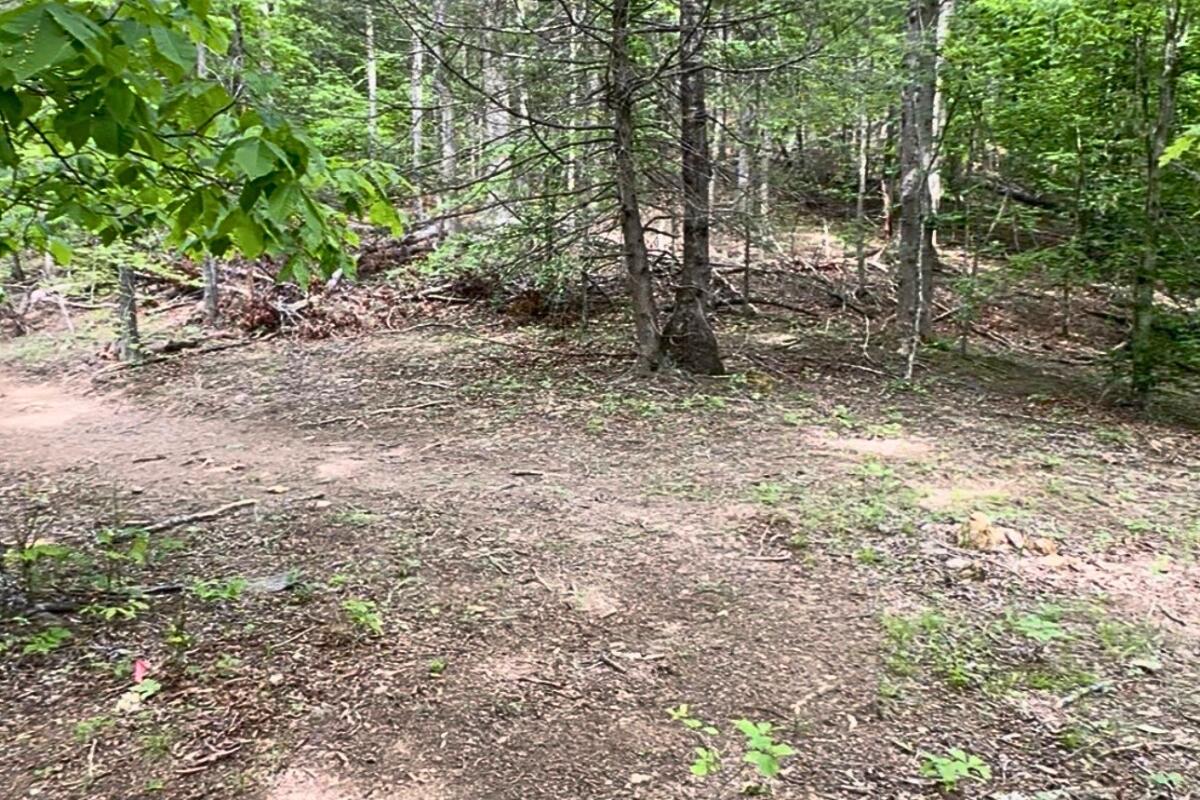 3994 Yates Road Shawsville, VA 24162 - Photo 10 of 40 land for sale in shawsville va 24 (1)