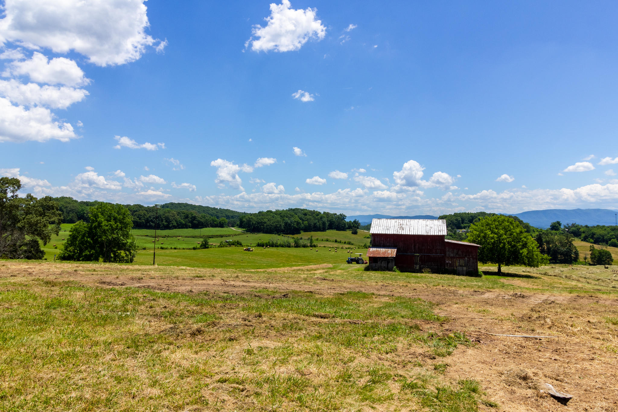Parsonage Road Dandridge, TN 37725 - Photo 3 of 11 BG_AlleyWhitePine-2