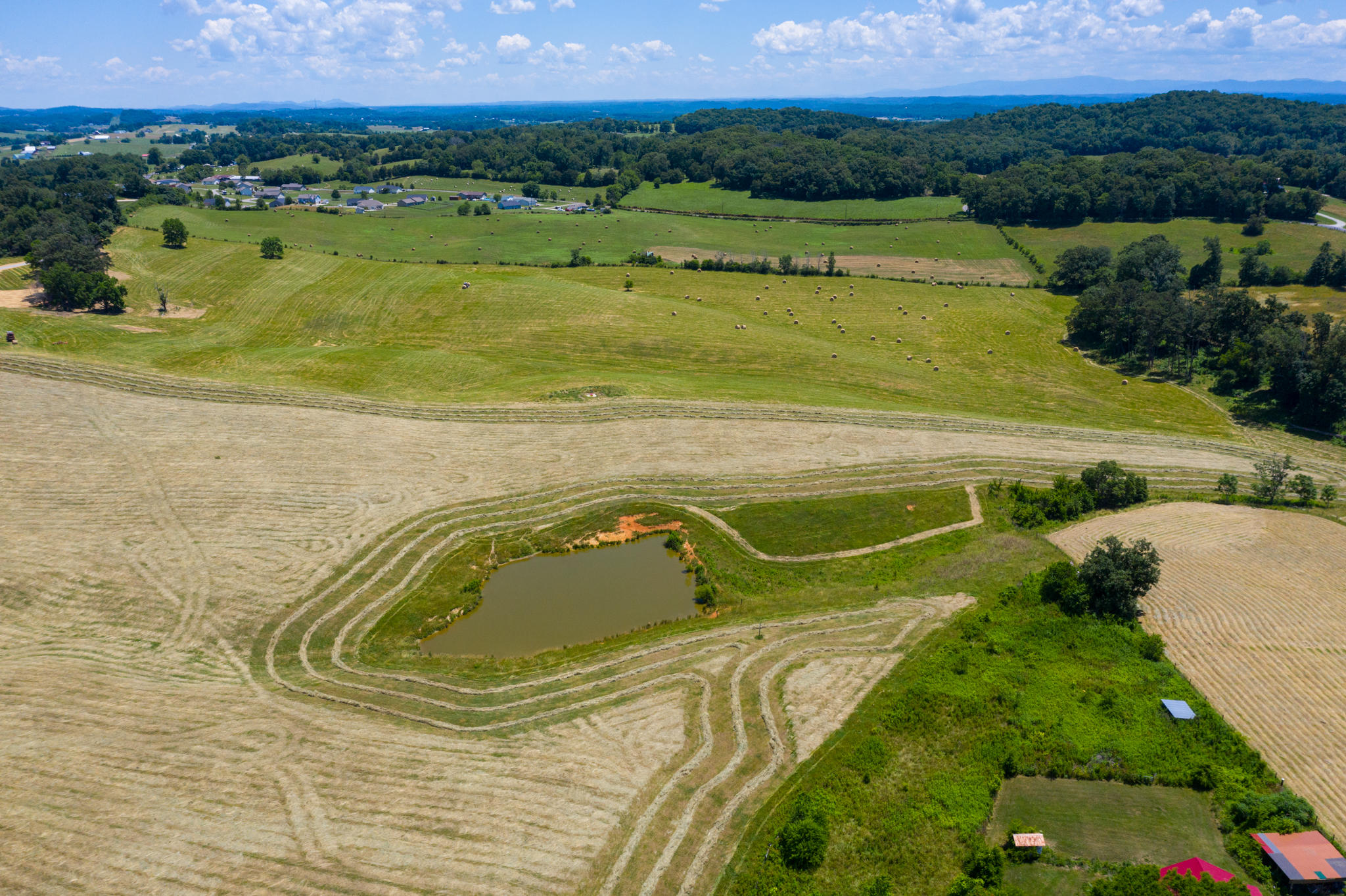 Parsonage Road Dandridge, TN 37725 - Photo 8 of 11 BG_AlleyWhitePine-28