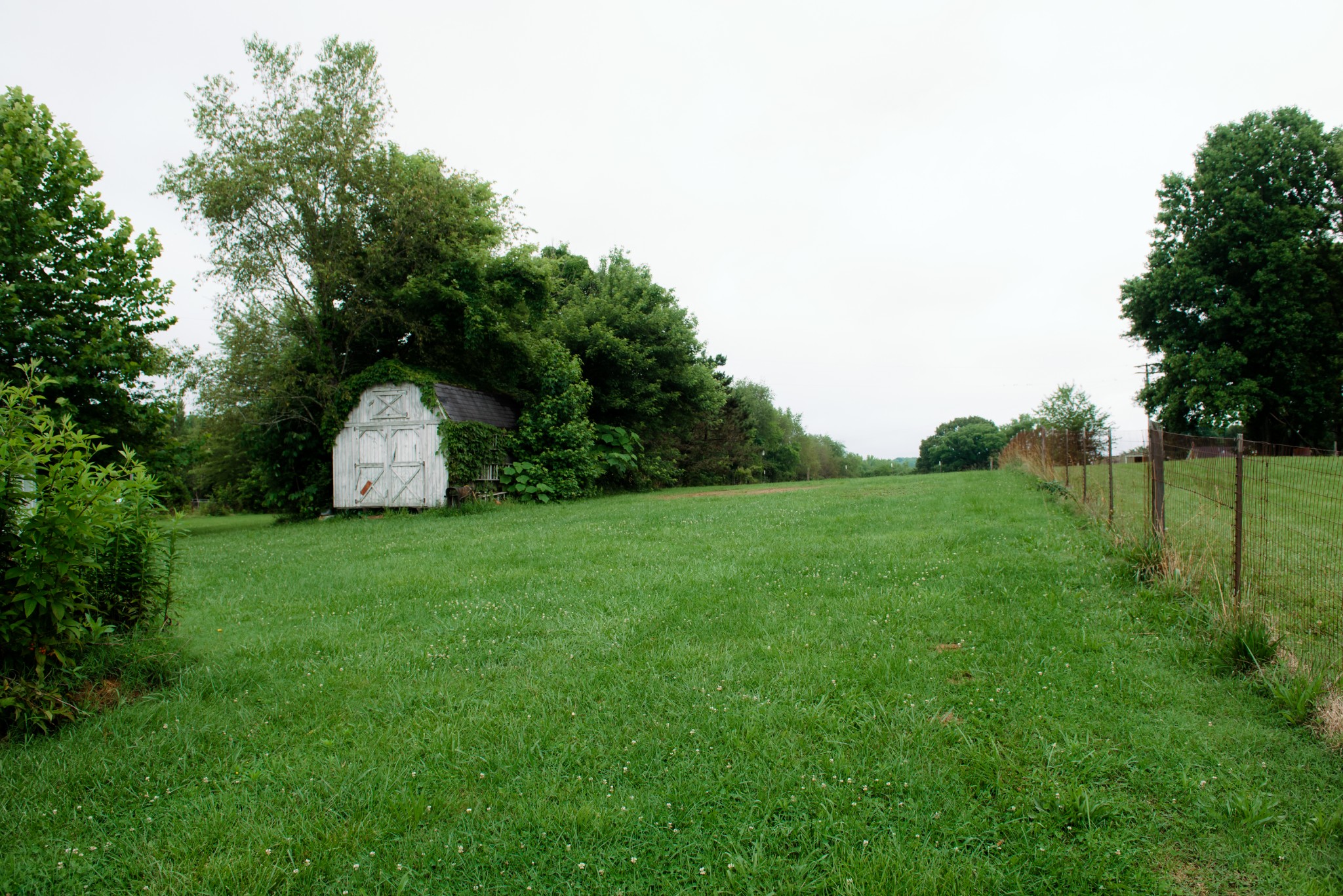 417 Buttermilk Hollow Road Bethpage, TN 37022 - Photo 6 of 32