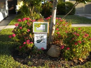 6398 Amberwoods Drive Boca Raton, FL 33433 - Photo 3 of 14 Certified Butterfly Garden