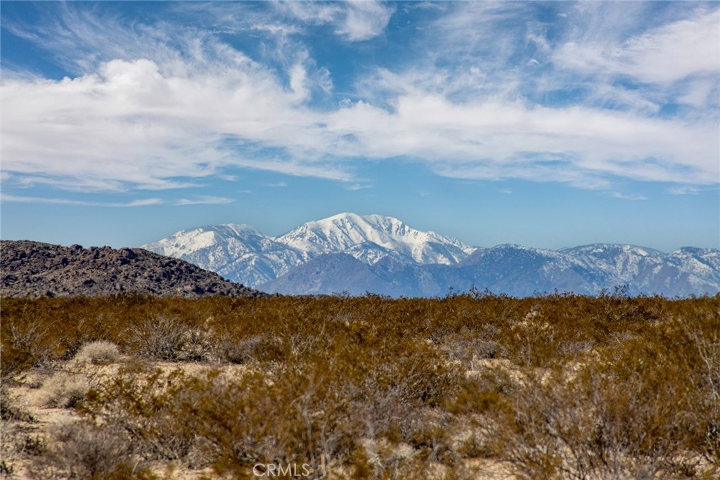 66000 Sonora Road Joshua Tree, CA 92252 - Photo 1 of 1 Gallery Image 1