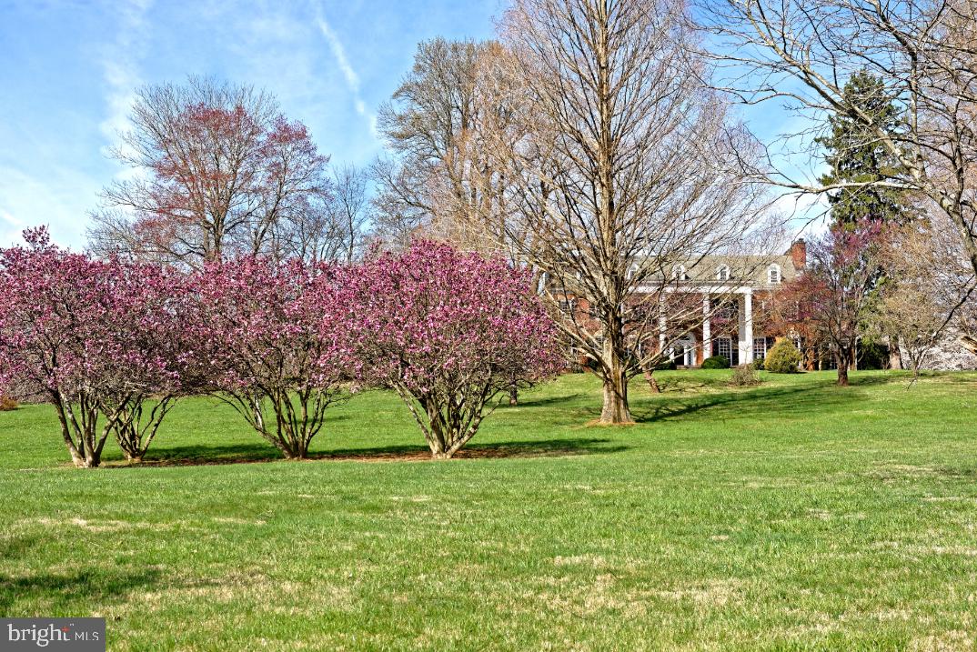 2082 Winchester Road Delaplane, VA 20144 - Photo 61 of 63 Gallery Image 61