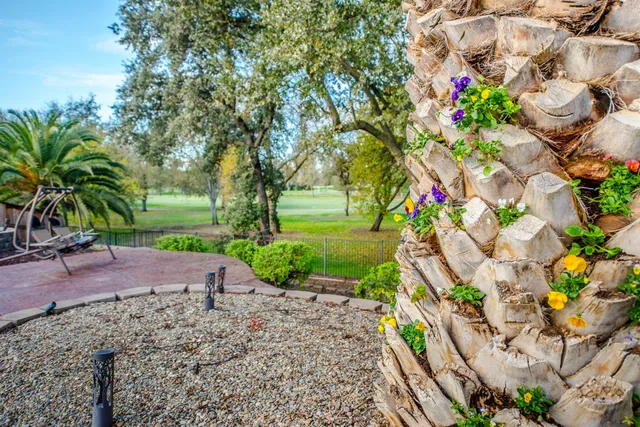 $989,900 | 33462 Canvas Back Street, Woodland, CA 95695