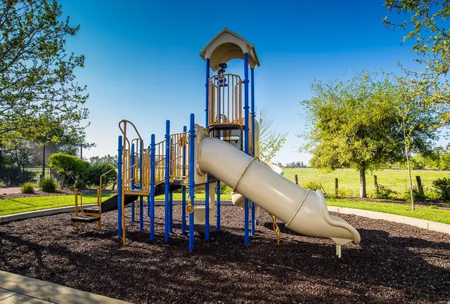 $989,900 | 33462 Canvas Back Street, Woodland, CA 95695