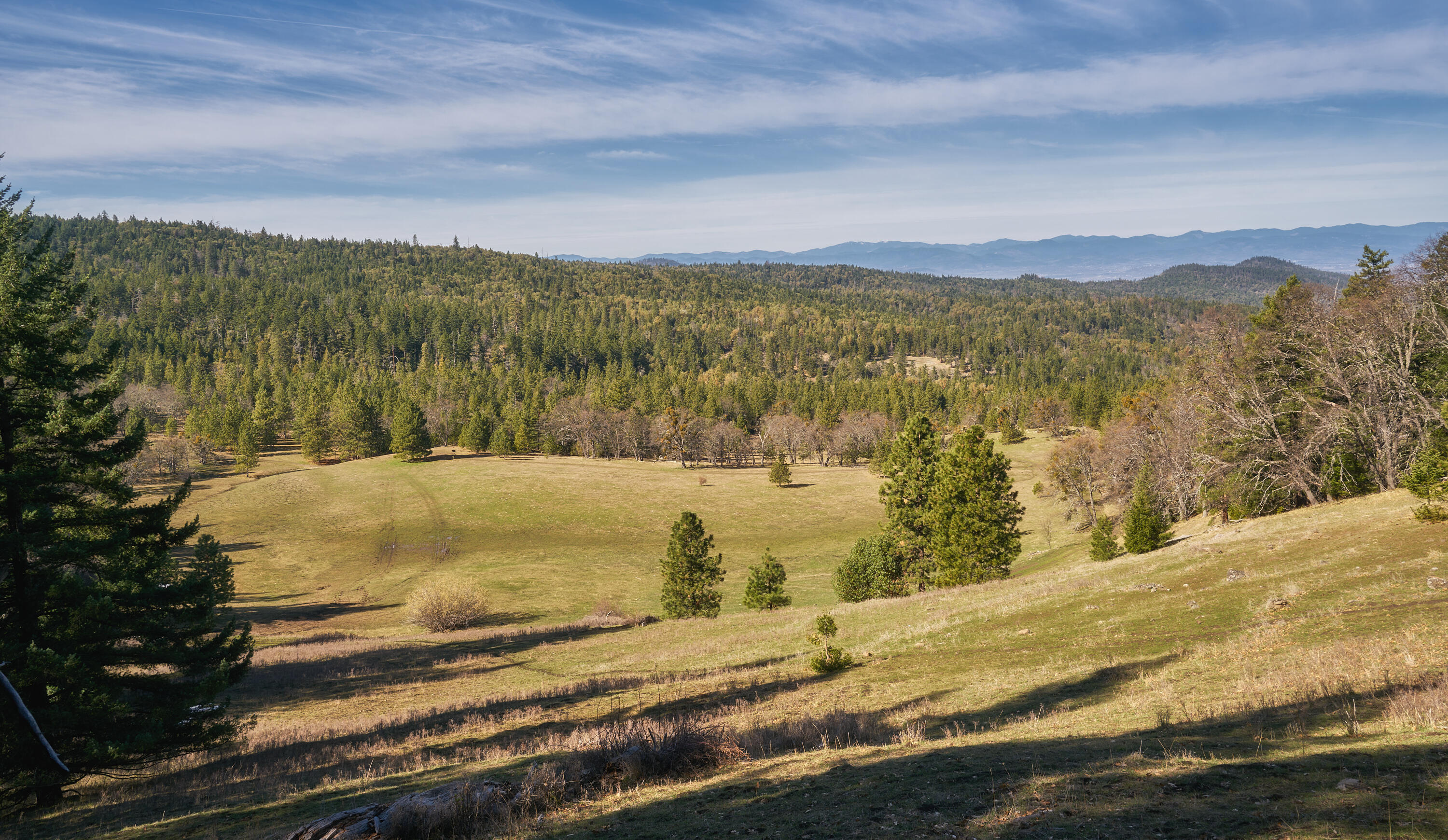 11200 Valley View Road Eagle Point, OR 97524 - Photo 5 of 70 04 11200 Ashland-Climax Rd_19