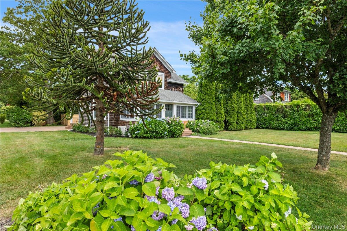 19 New Jersey Avenue Bellport, NY 11713 - Photo 5 of 17 a front view of a house with garden