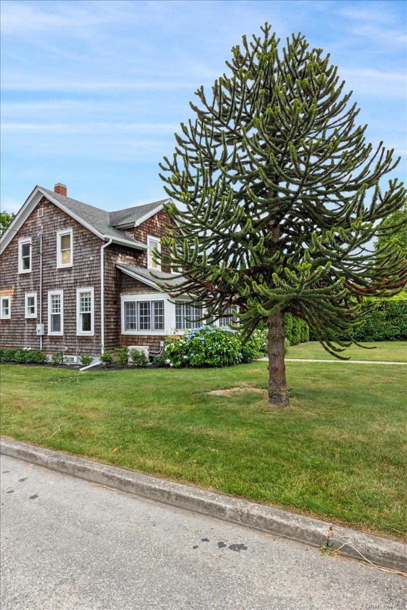 19 New Jersey Avenue Bellport, NY 11713 - Photo 6 of 17 a front view of a house with a garden